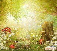 怎样预防小棘毛壅病，小棘毛壅病的护理