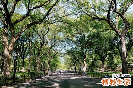 针刺治疗进行性延髓麻痹