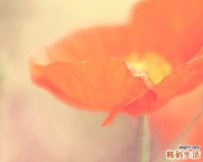 低血壓的標(biāo)準(zhǔn)及癥狀你了解多少