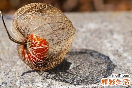 颈椎病要如何调养才能好