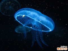 痘痘肌患者救星 消除青春痘的方法有哪些