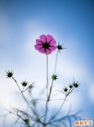 滑囊炎治疗用药知多少