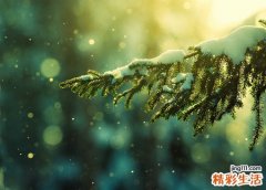 改善生活方式远离高血压