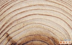 纤维性骨炎检查，纤维性骨炎如何诊断鉴别