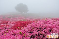 人格改变的诊断_人格改变的鉴别