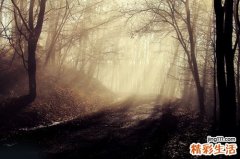 冬天來了 毛細支氣管炎還遠嗎？