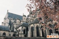 怎样预防血小板型假性血管性血友病，血小板型假性血管性血友病的护理