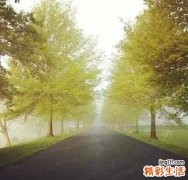 怎么去除背上的痘痘 三个方法能够有效祛痘
