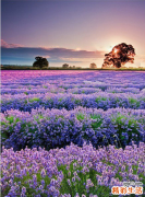 克罗恩病的并发症都有哪些呢?