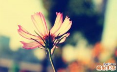 外源性过敏性肺泡炎会引起哪些疾病？