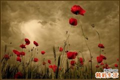 给新生儿肚脐消毒最好的药