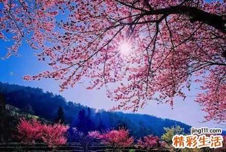 小小炎症引发女性输卵管不孕