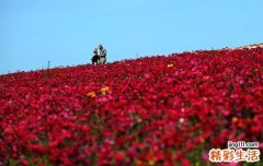 治疗低血压常见方法推荐
