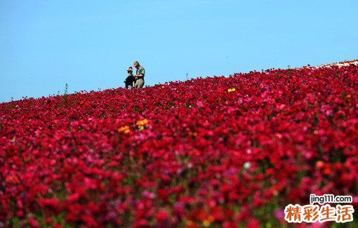 治疗低血压常见方法推荐