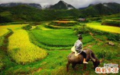 特发性肺纤维化的新疗法