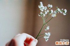 首乌丸能治疗白发吗 效果视病情而定
