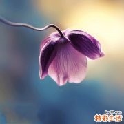 肺淀粉样变性会引起哪些疾病？