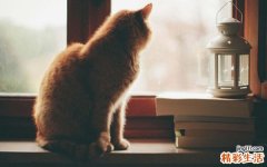 唇水疱的诊断_唇水疱的鉴别