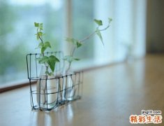 怎么让白发变黑发 生活注意事项