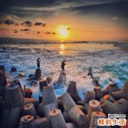 预防前列腺癌可多吃鱼和番茄