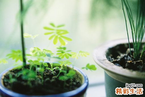 诊断前列腺癌别抗拒穿刺活检