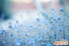 对抗甲亢药物大点兵！