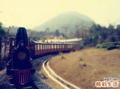 噪音性耳鸣的食物预防方法