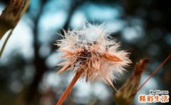 皮肤生结节，小心“血管炎”作怪