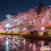 特发性息肉样脉络膜血管病变检查，特发性息肉样脉络膜血管病变如何诊断鉴别