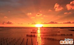 治疗颊间隙感染