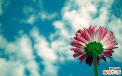 遗传性干瘪细胞增多症 遗传性干瘪红细胞增多症