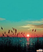 下肢放射痛的诊断_下肢放射痛的鉴别