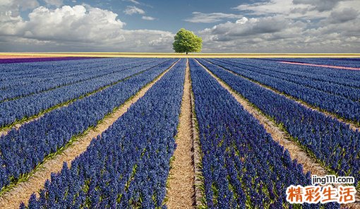 希恩综合征治疗方法