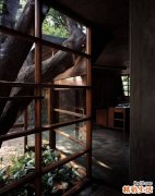 局限性胸膜间皮瘤引发什么疾病