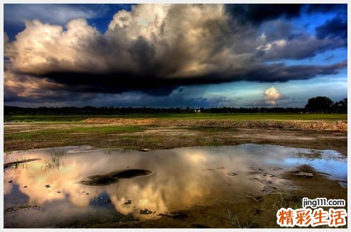 原发性高脂蛋白血症与黄瘤增生病