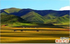 6岁孩子因上学紧张患“牛皮癣” 及早治疗太重要