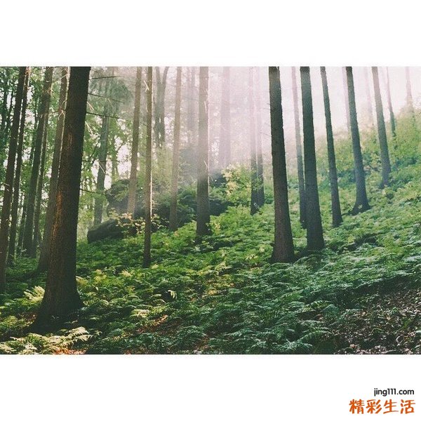 小儿发烧怎么护理？