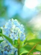 情绪性胃痛的诊断_情绪性胃痛的鉴别