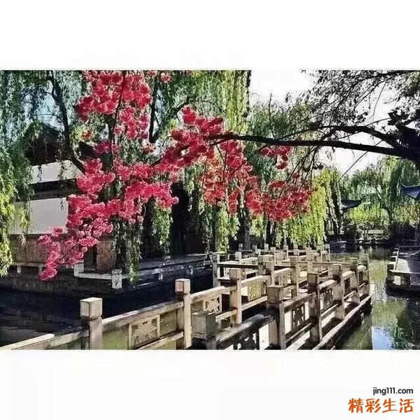 小儿Rathbun综合症,小儿低磷酸酶症,小儿低磷酸脂酶症,小儿家族性磷酸酶过少症 小儿磷酸酶过少症