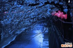 怎样预防肝纤维板层癌，肝纤维板层癌的护理