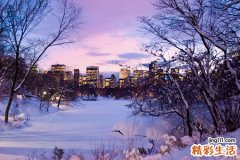 过敏性紫癜吃什么药