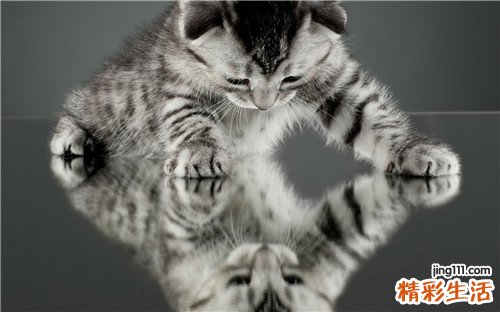 小儿心房扑动引发什么疾病