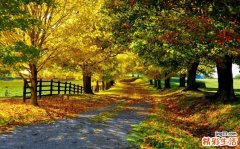 糖尿病药膳---粥类篇