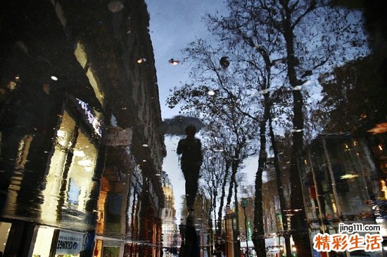 川贝枇杷膏 并非人人适合