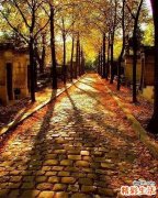 康拉迪病 骨骺点状发育不良