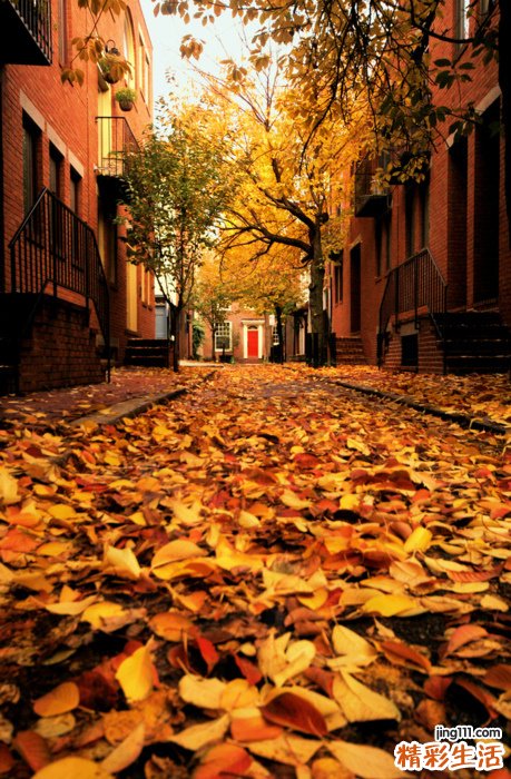 二尖瓣、主动脉瓣和三尖瓣综合征引发什么疾病？