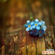 典型预激综合征引发什么疾病