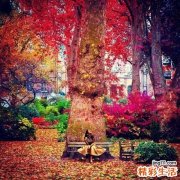 高龄夫妻做“试管婴儿”成功率低