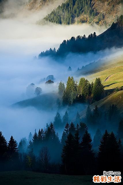 教您正确服用“头孢”