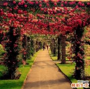 怎样预防全身化脓性感染，全身化脓性感染的护理